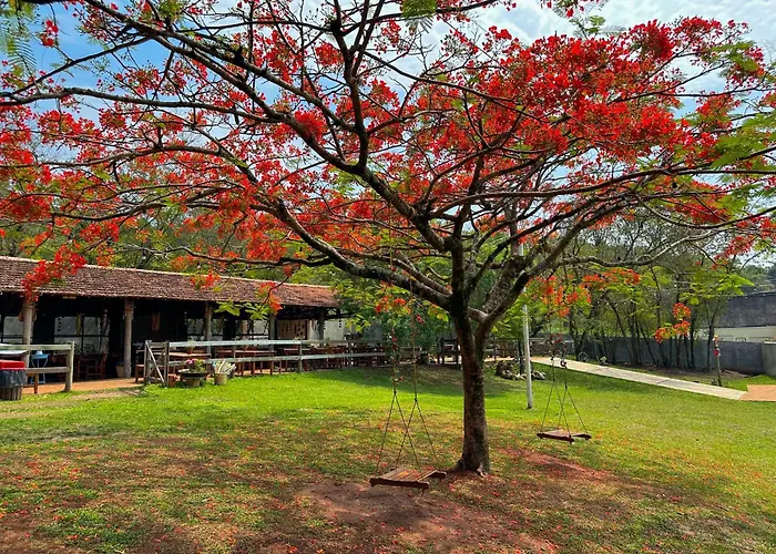 Resort Fazenda Sao Joao