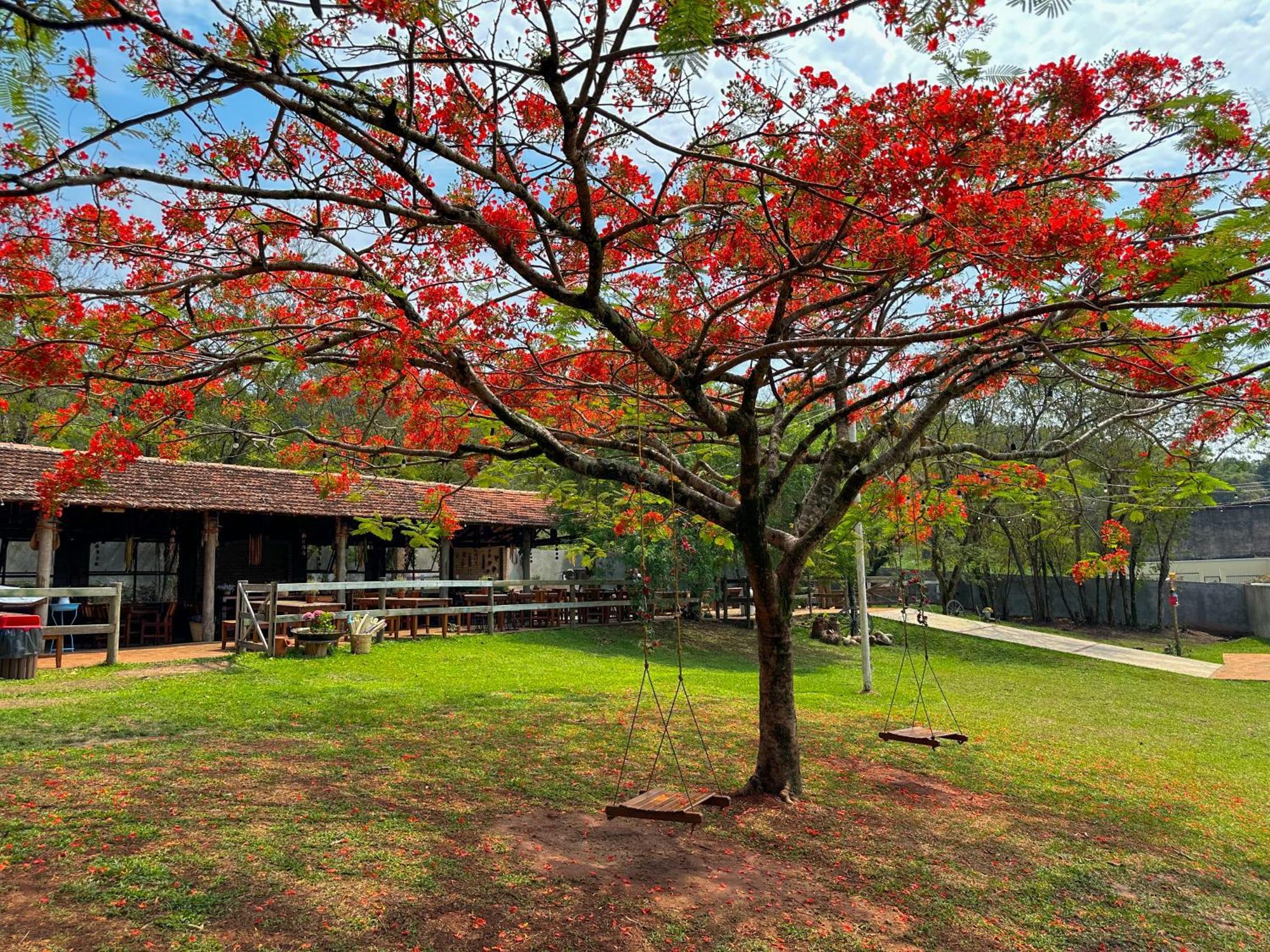 Hotel Fazenda Sao Joao Sao Pedro (Sao Paulo)