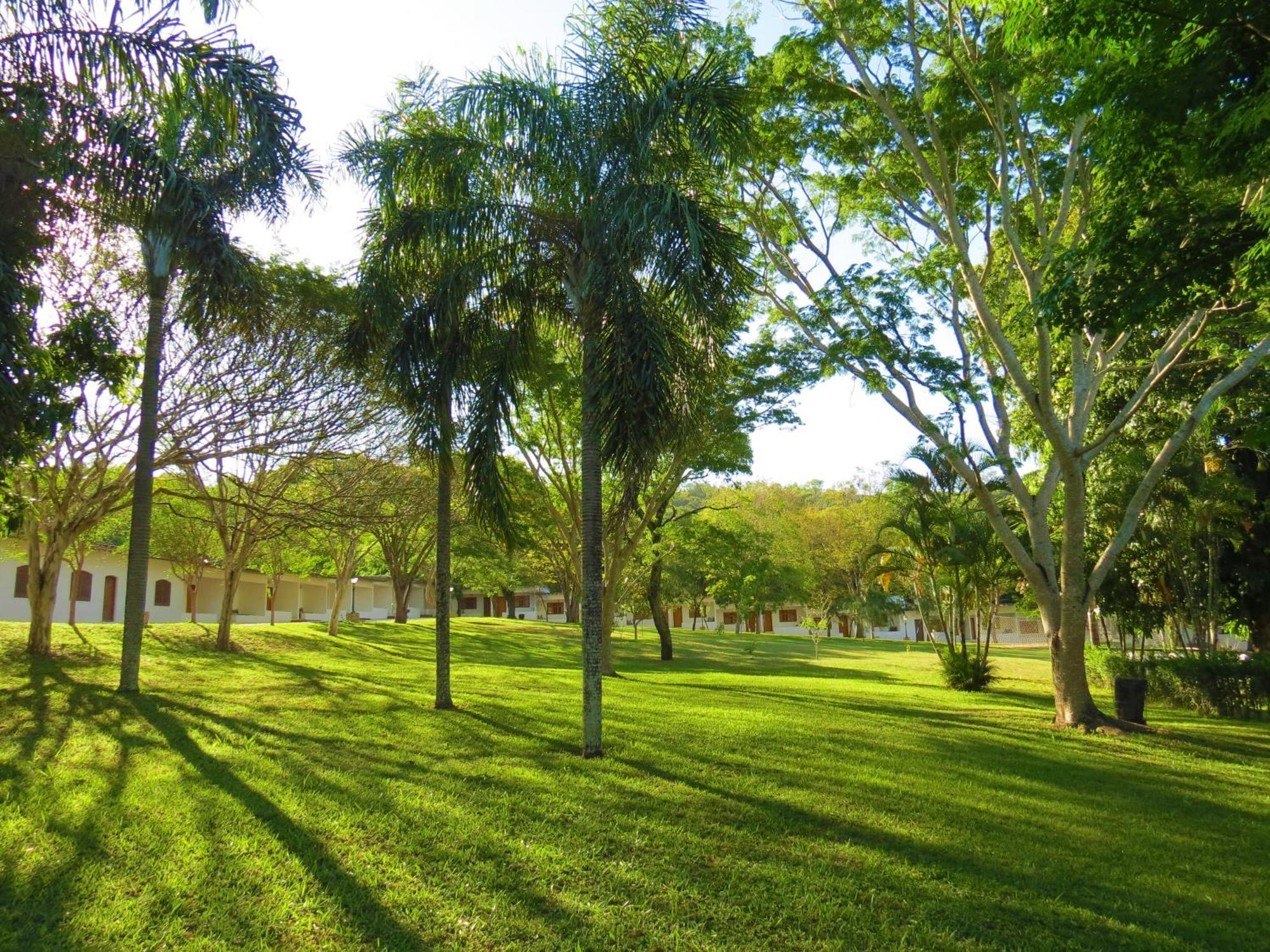 Fazenda Sao Joao Sao Pedro (Sao Paulo)